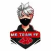 MS Team FF Injector