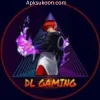 DL Gaming Injector