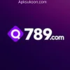 Q789 Game