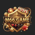 M66 Game