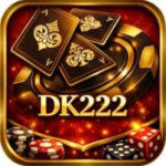 DK 222 Game